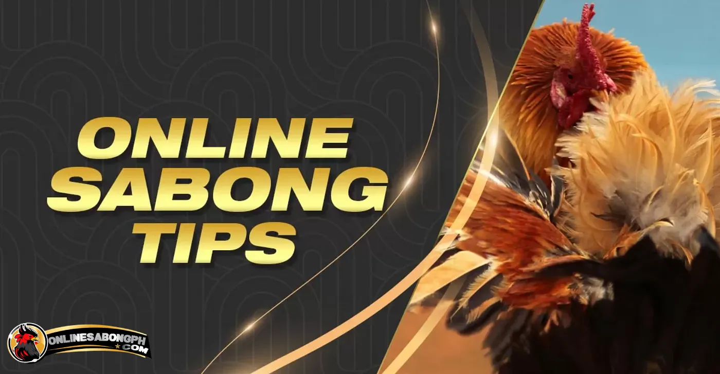 Online Sabong Tips