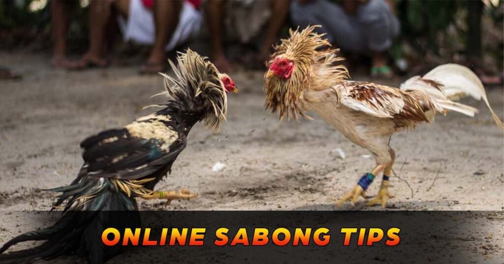Online Sabong Fighting Tips