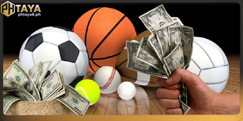 Using Sports Betting Reviews to Make Smart Decisions